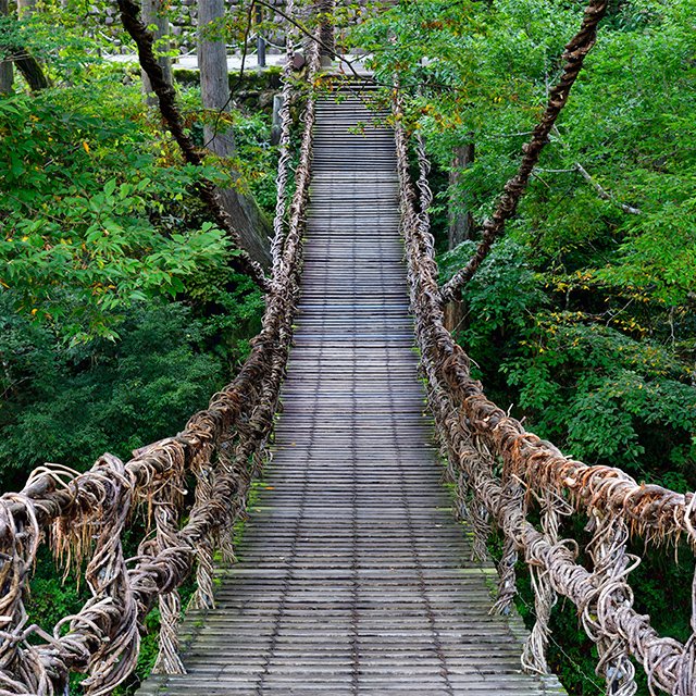 🏞️ 이야 후레아이 공원(이야 후레아이 코엔) 이미지 9